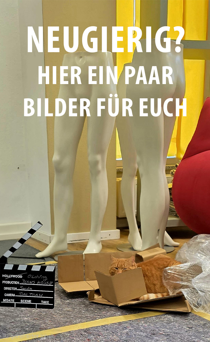 Katze im Karton zwischen Schaufensterfiguren beim Umbau im JEANS HOUSE Olching